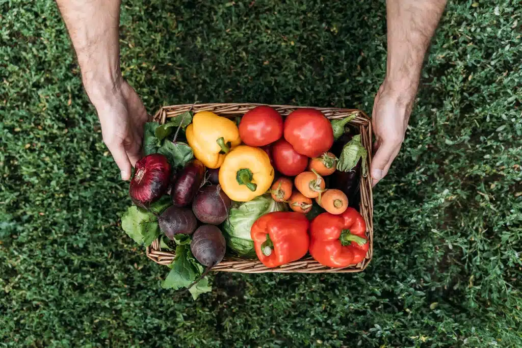 legumes e verduras