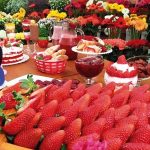 Aniversário de São José dos Campos tem Festival de Flores & Morangos