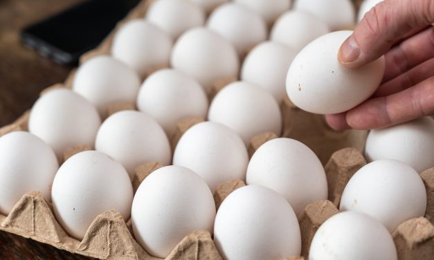 Erro ao Guardar Ovos na Geladeira: Aprenda a Armazená-los