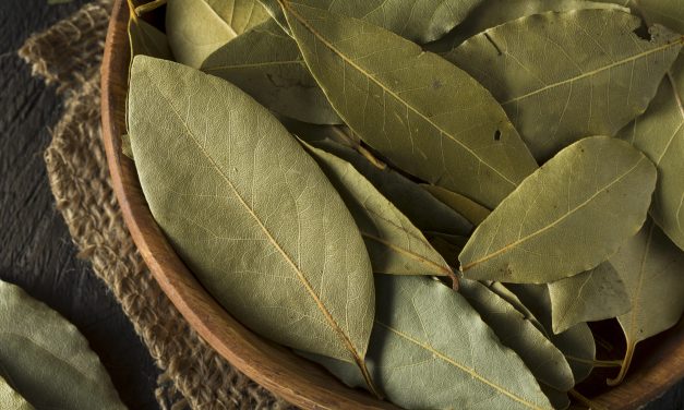 O motivo pelo qual você deve colocar folhas de louro na geladeira