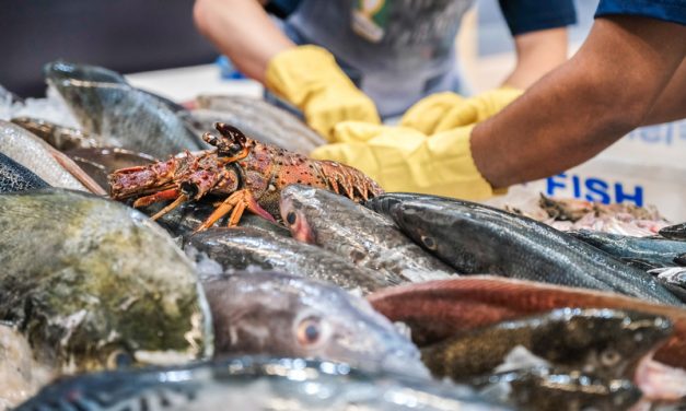 Francal realiza 3ª edição do Seafood Show Latin America