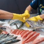 Edição 2024 da Seafood Show Latin America